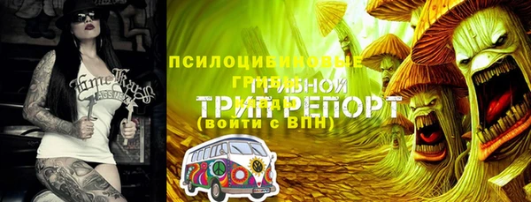 прущий лед Арсеньев