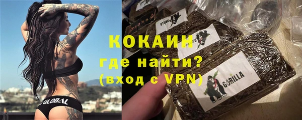 прущий лед Арсеньев
